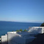 Zante Fiore *